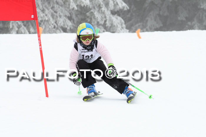 Werdenfelser Kinderskitag, Bambini +Kinder JG 2007, 18.03.2018