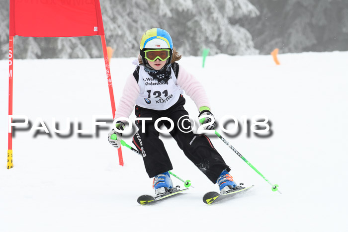 Werdenfelser Kinderskitag, Bambini +Kinder JG 2007, 18.03.2018