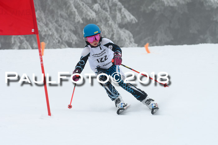 Werdenfelser Kinderskitag, Bambini +Kinder JG 2007, 18.03.2018