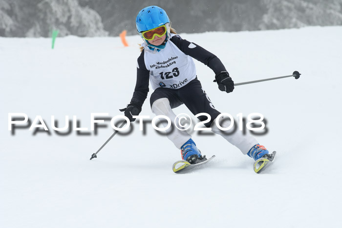 Werdenfelser Kinderskitag, Bambini +Kinder JG 2007, 18.03.2018