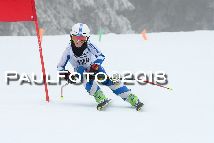 Werdenfelser Kinderskitag, Bambini +Kinder JG 2007, 18.03.2018