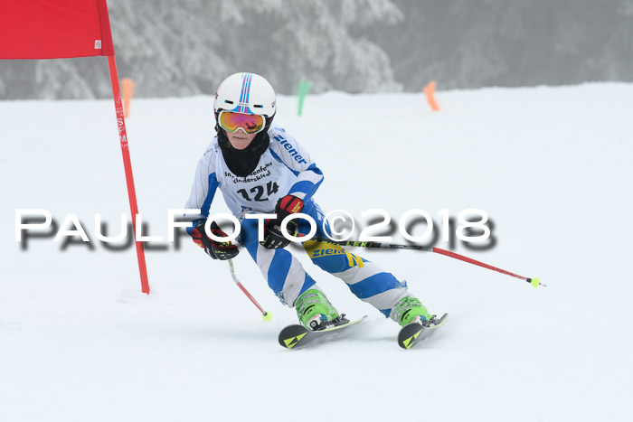 Werdenfelser Kinderskitag, Bambini +Kinder JG 2007, 18.03.2018