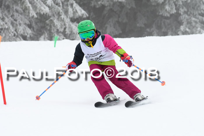 Werdenfelser Kinderskitag, Bambini +Kinder JG 2007, 18.03.2018