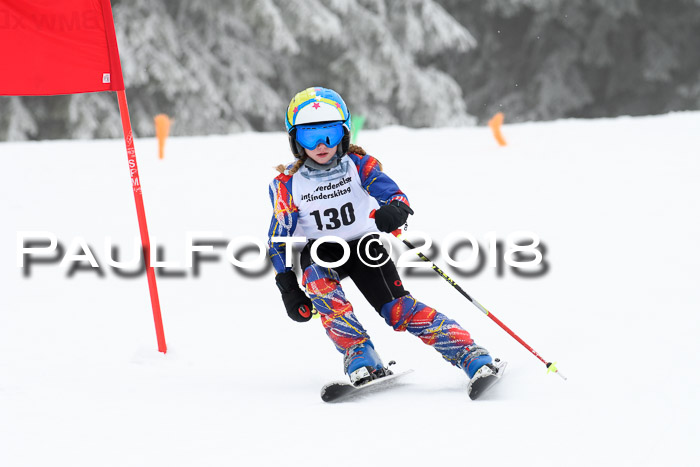 Werdenfelser Kinderskitag, Bambini +Kinder JG 2007, 18.03.2018