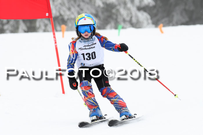 Werdenfelser Kinderskitag, Bambini +Kinder JG 2007, 18.03.2018