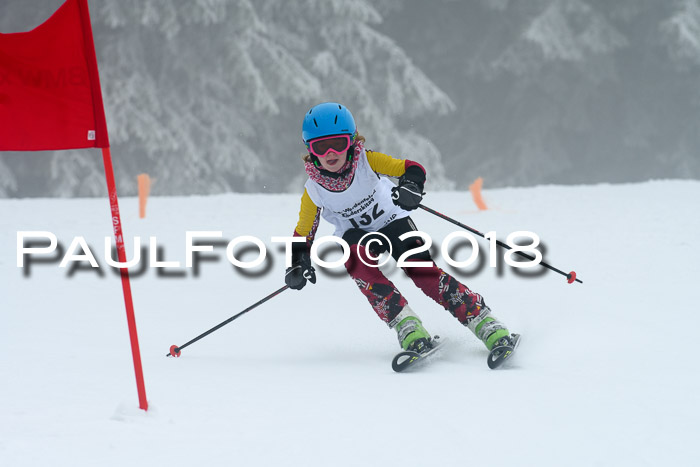 Werdenfelser Kinderskitag, Bambini +Kinder JG 2007, 18.03.2018