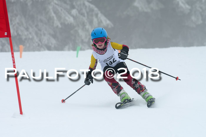 Werdenfelser Kinderskitag, Bambini +Kinder JG 2007, 18.03.2018