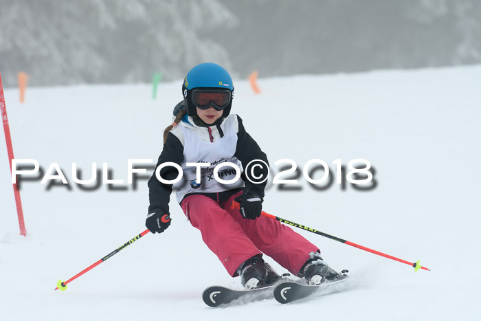 Werdenfelser Kinderskitag, Bambini +Kinder JG 2007, 18.03.2018