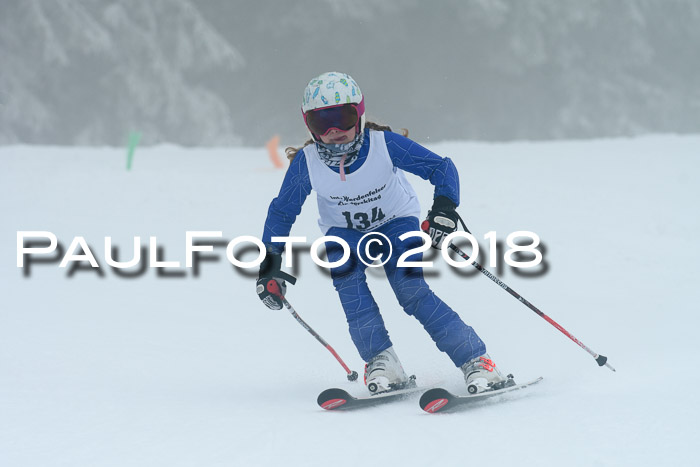 Werdenfelser Kinderskitag, Bambini +Kinder JG 2007, 18.03.2018