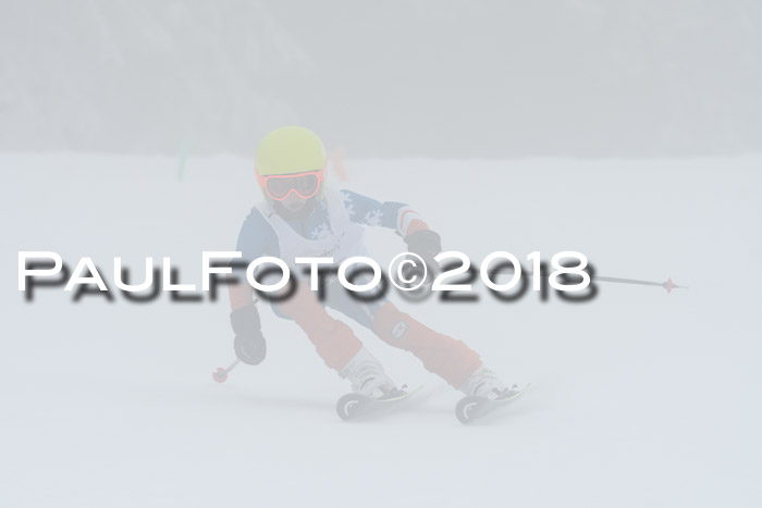 Werdenfelser Kinderskitag, Bambini +Kinder JG 2007, 18.03.2018