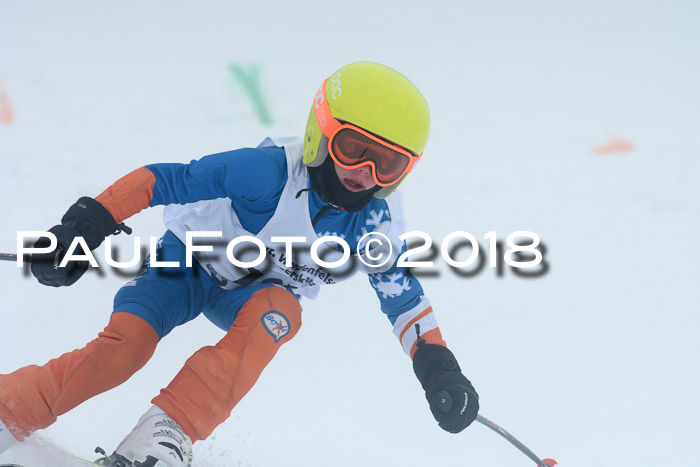 Werdenfelser Kinderskitag, Bambini +Kinder JG 2007, 18.03.2018