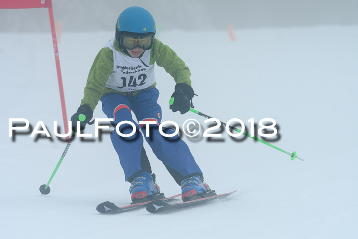 Werdenfelser Kinderskitag, Bambini +Kinder JG 2007, 18.03.2018