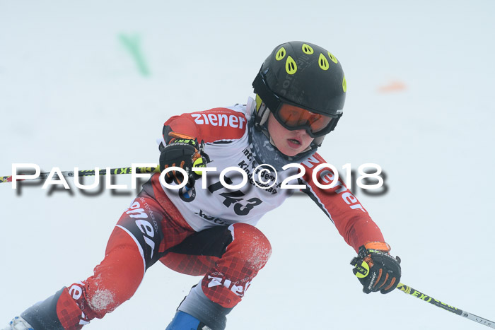 Werdenfelser Kinderskitag, Bambini +Kinder JG 2007, 18.03.2018