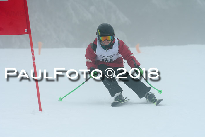 Werdenfelser Kinderskitag, Bambini +Kinder JG 2007, 18.03.2018
