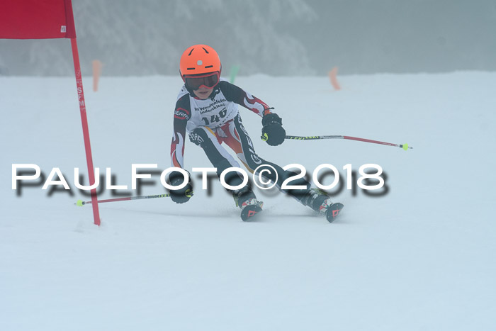Werdenfelser Kinderskitag, Bambini +Kinder JG 2007, 18.03.2018