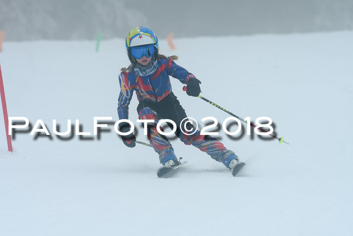 Werdenfelser Kinderskitag, Bambini +Kinder JG 2007, 18.03.2018