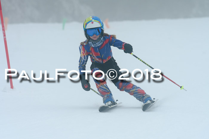 Werdenfelser Kinderskitag, Bambini +Kinder JG 2007, 18.03.2018