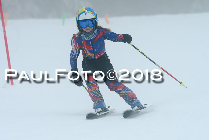 Werdenfelser Kinderskitag, Bambini +Kinder JG 2007, 18.03.2018