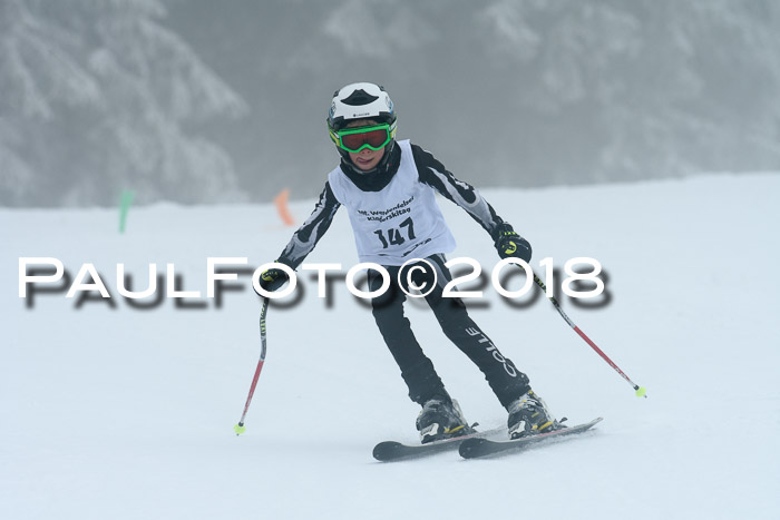 Werdenfelser Kinderskitag, Bambini +Kinder JG 2007, 18.03.2018