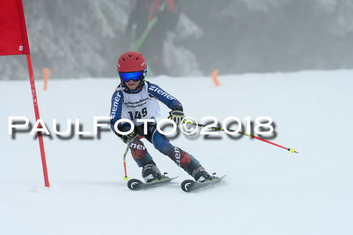 Werdenfelser Kinderskitag, Bambini +Kinder JG 2007, 18.03.2018