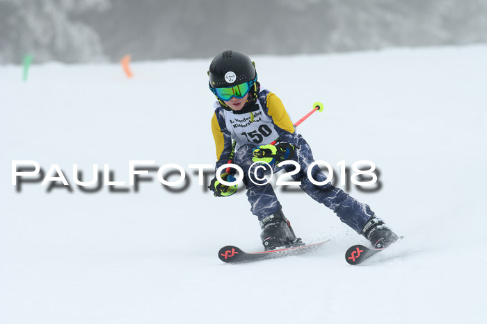 Werdenfelser Kinderskitag, Bambini +Kinder JG 2007, 18.03.2018