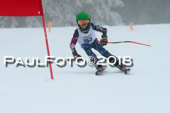 Werdenfelser Kinderskitag, Bambini +Kinder JG 2007, 18.03.2018
