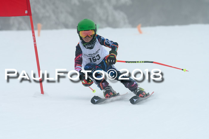 Werdenfelser Kinderskitag, Bambini +Kinder JG 2007, 18.03.2018