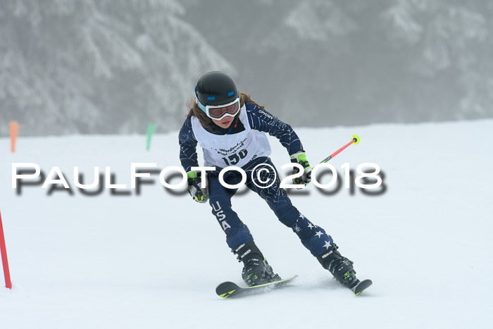 Werdenfelser Kinderskitag, Bambini +Kinder JG 2007, 18.03.2018