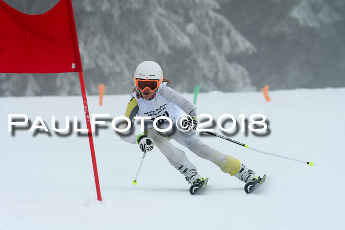 Werdenfelser Kinderskitag, Bambini +Kinder JG 2007, 18.03.2018