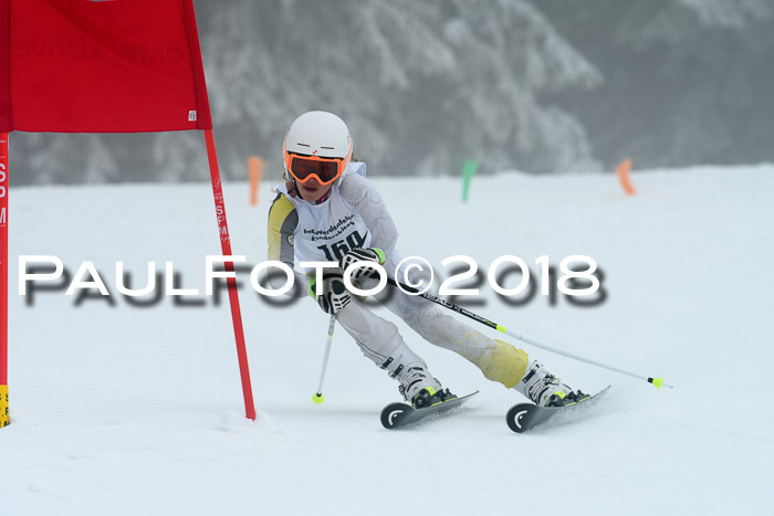 Werdenfelser Kinderskitag, Bambini +Kinder JG 2007, 18.03.2018