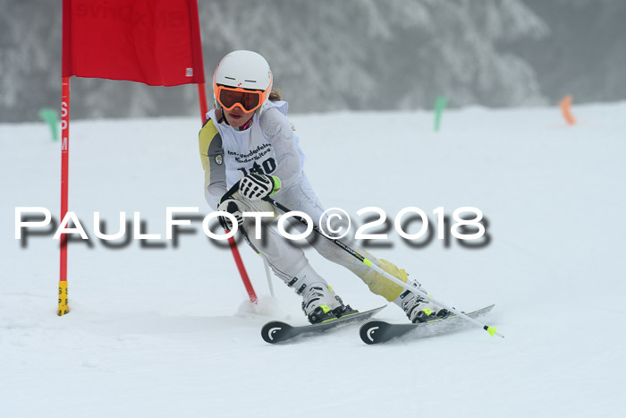 Werdenfelser Kinderskitag, Bambini +Kinder JG 2007, 18.03.2018