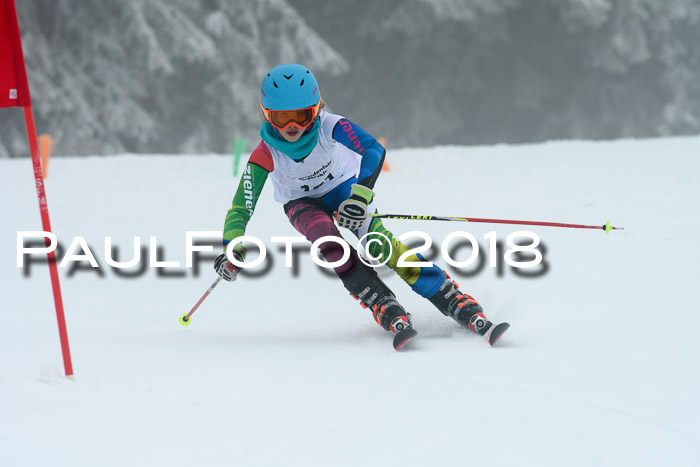 Werdenfelser Kinderskitag, Bambini +Kinder JG 2007, 18.03.2018