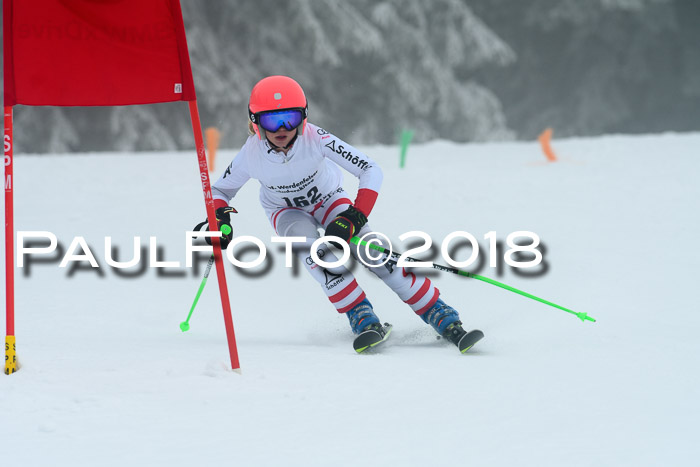 Werdenfelser Kinderskitag, Bambini +Kinder JG 2007, 18.03.2018