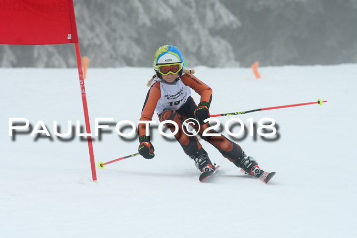 Werdenfelser Kinderskitag, Bambini +Kinder JG 2007, 18.03.2018