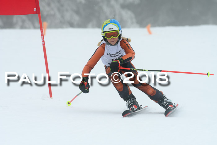 Werdenfelser Kinderskitag, Bambini +Kinder JG 2007, 18.03.2018