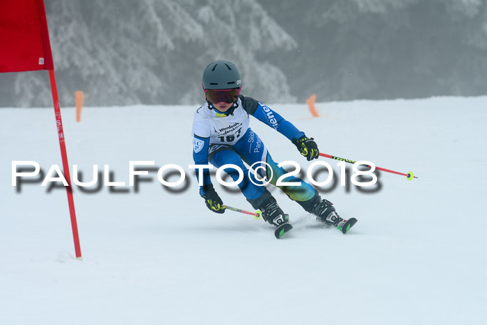 Werdenfelser Kinderskitag, Bambini +Kinder JG 2007, 18.03.2018