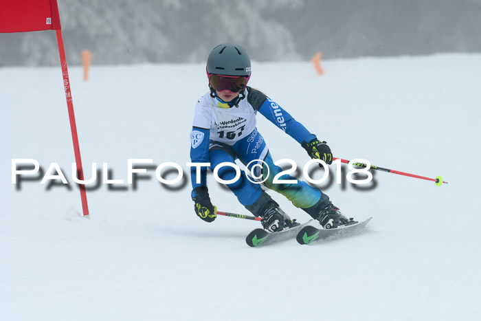 Werdenfelser Kinderskitag, Bambini +Kinder JG 2007, 18.03.2018