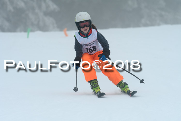Werdenfelser Kinderskitag, Bambini +Kinder JG 2007, 18.03.2018