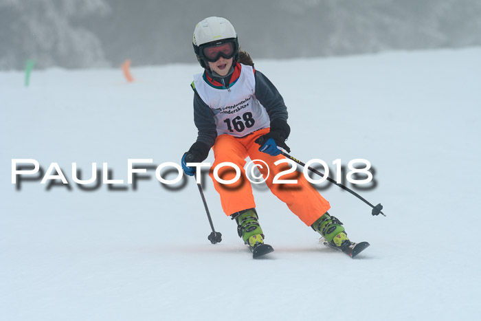 Werdenfelser Kinderskitag, Bambini +Kinder JG 2007, 18.03.2018