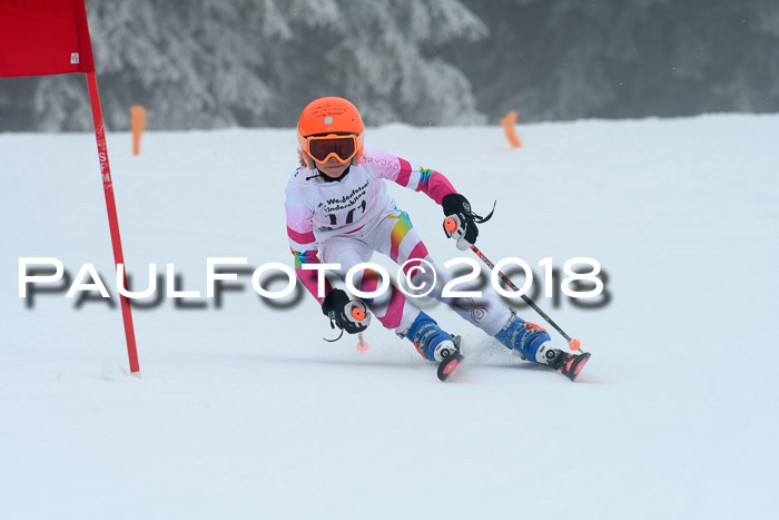 Werdenfelser Kinderskitag, Bambini +Kinder JG 2007, 18.03.2018