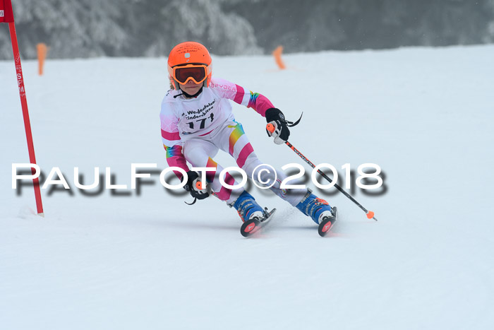 Werdenfelser Kinderskitag, Bambini +Kinder JG 2007, 18.03.2018