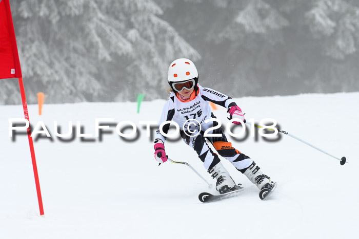 Werdenfelser Kinderskitag, Bambini +Kinder JG 2007, 18.03.2018