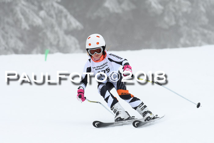 Werdenfelser Kinderskitag, Bambini +Kinder JG 2007, 18.03.2018