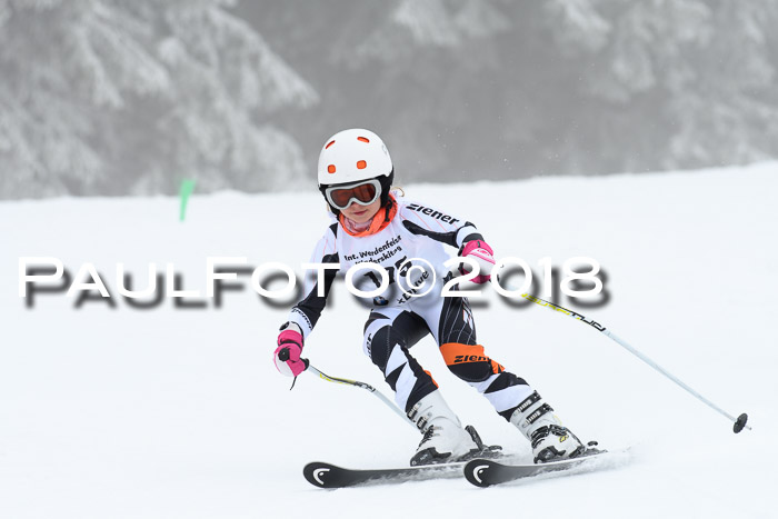 Werdenfelser Kinderskitag, Bambini +Kinder JG 2007, 18.03.2018