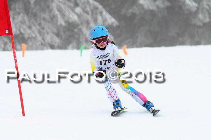 Werdenfelser Kinderskitag, Bambini +Kinder JG 2007, 18.03.2018