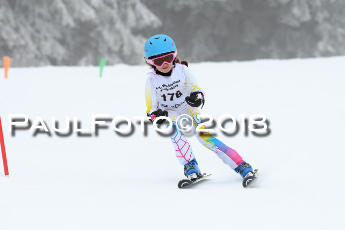 Werdenfelser Kinderskitag, Bambini +Kinder JG 2007, 18.03.2018