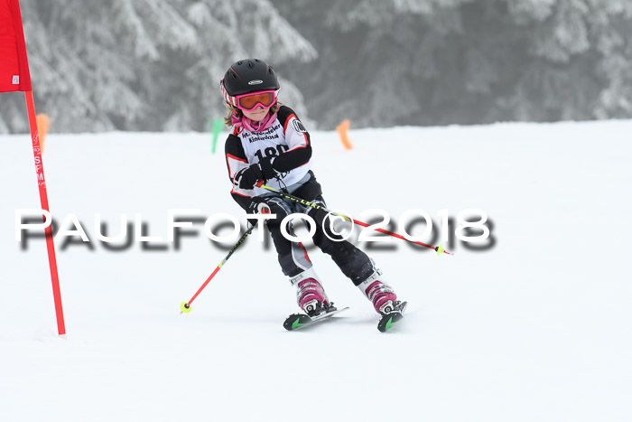 Werdenfelser Kinderskitag, Bambini +Kinder JG 2007, 18.03.2018