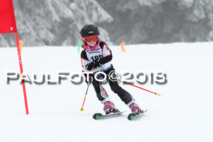 Werdenfelser Kinderskitag, Bambini +Kinder JG 2007, 18.03.2018