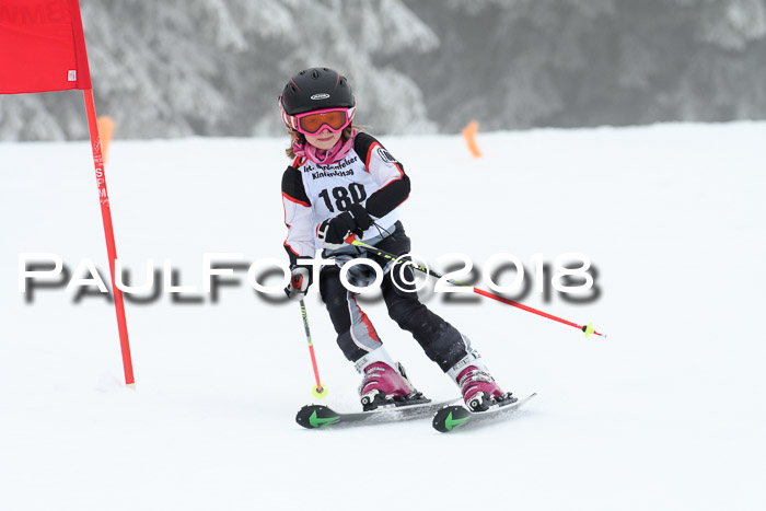 Werdenfelser Kinderskitag, Bambini +Kinder JG 2007, 18.03.2018