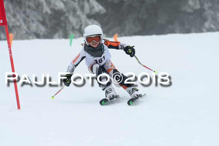 Werdenfelser Kinderskitag, Bambini +Kinder JG 2007, 18.03.2018